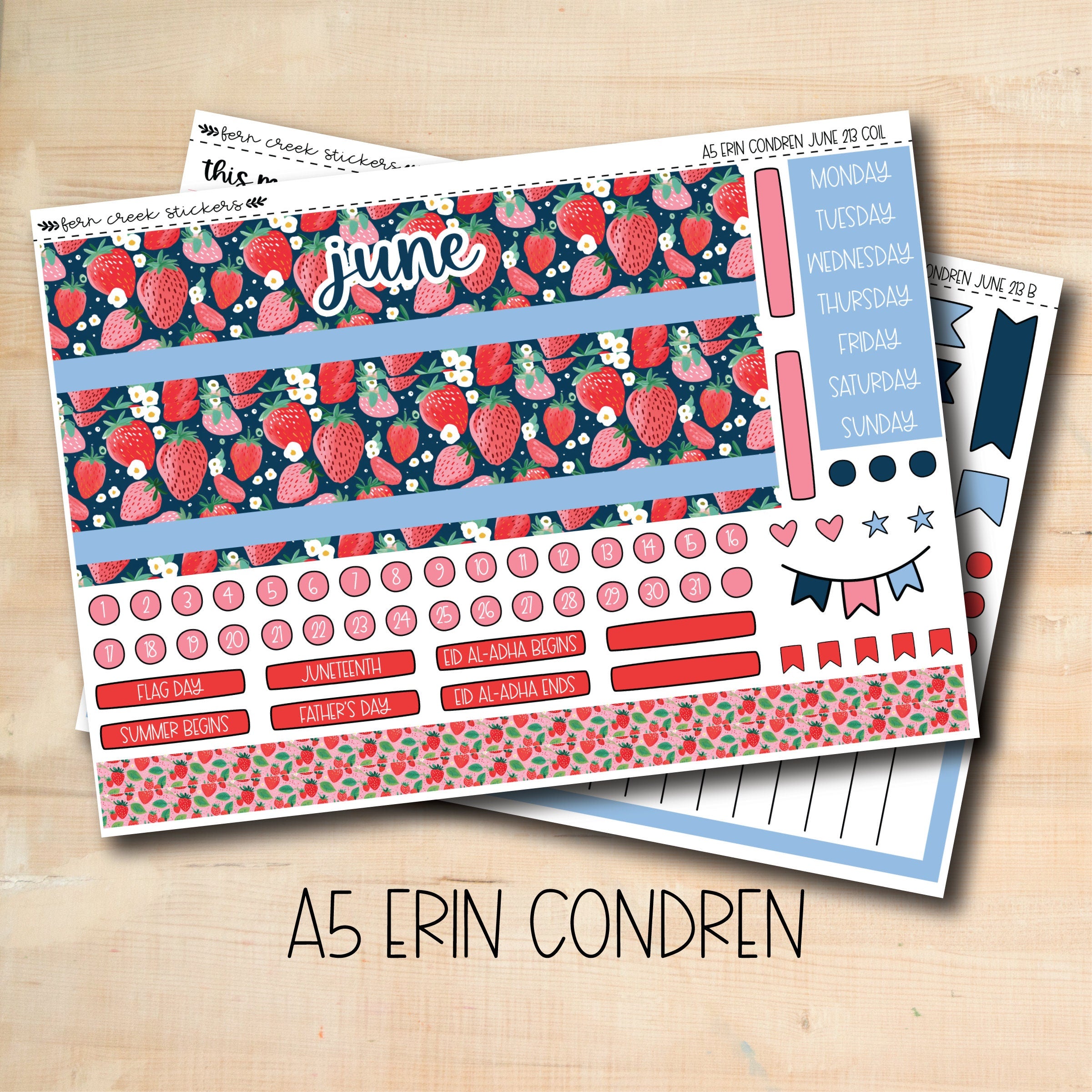 Large Planner purchases Stickers Lot Erin Condren Stickers A5 Vertical