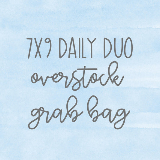 7x9 Daily Duo Overstock Grab Bag