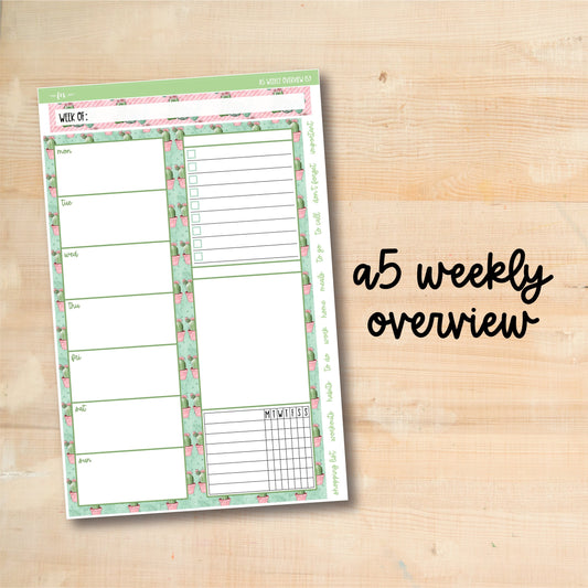 A5-WO 159 || CUTE CACTI A5 Daily Duo Erin Condren Weekly Overview