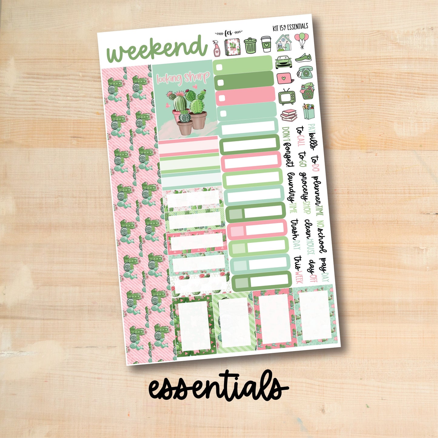 KIT-159 || CUTE CACTI weekly planner kit for Erin Condren, Plum Paper, MakseLife and more!