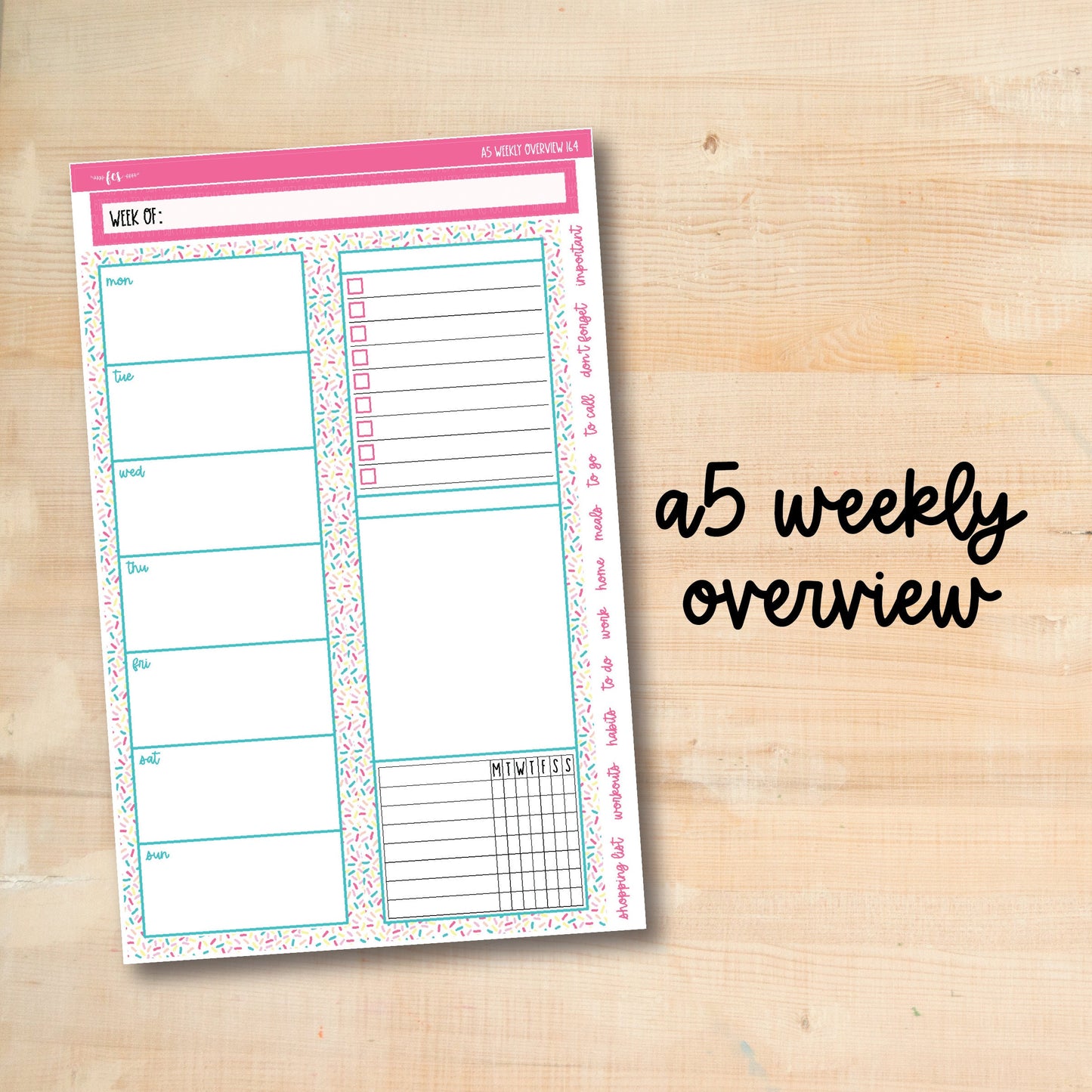 A5-WO 164 || BIRTHDAY PARTY A5 Daily Duo Erin Condren Weekly Overview