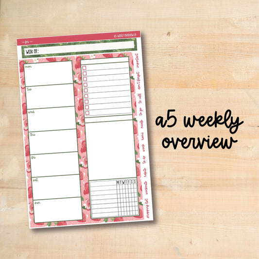 A5-WO 171 || BERRY SWEET A5 Daily Duo Erin Condren Weekly Overview