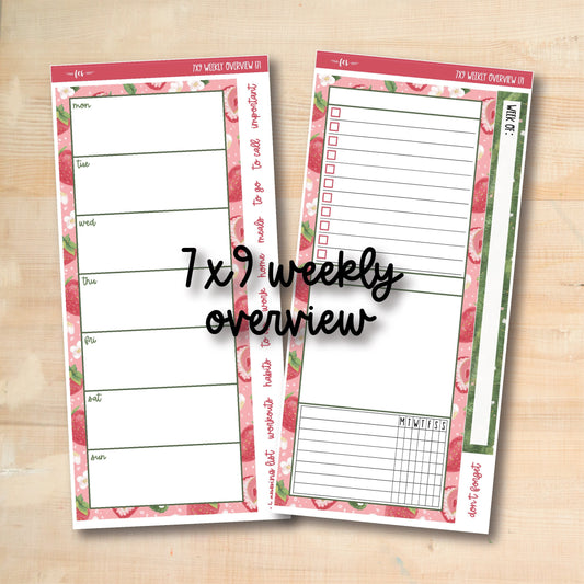 7x9-WO 171 || BERRY SWEET 7x9 Daily Duo Erin Condren Weekly Overview