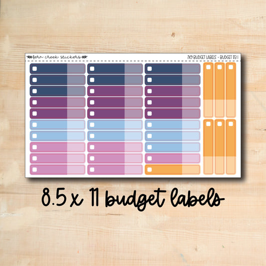 BUDGET-173 || HYDRANGEAS 8.5x11 budget labels