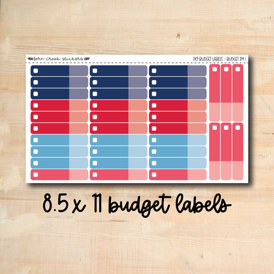 BUDGET-174 || FIREWORKS 8.5x11 budget labels