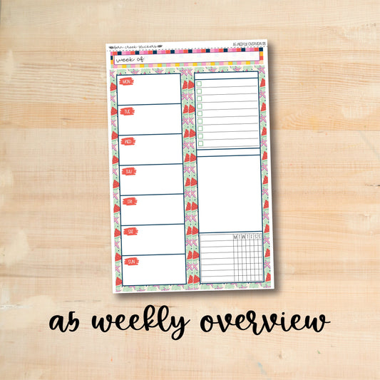 A5-WO 178 || BEACHY A5 Daily Duo Erin Condren Weekly Overview