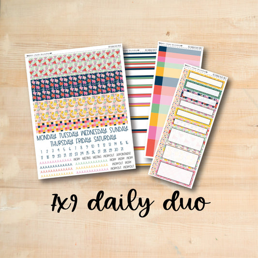 7x9 Daily Duo 178 || BEACHY 7x9 Daily Duo Kit