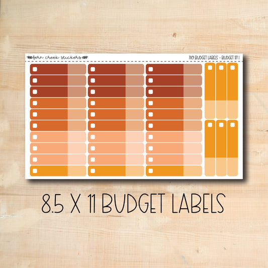 BUDGET-182 || HELLO PUMPKIN 8.5x11 budget labels