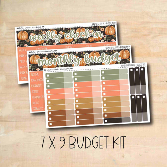 BUDGET-190 || PUMPKIN BLOSSOMS 7x9 budget kit