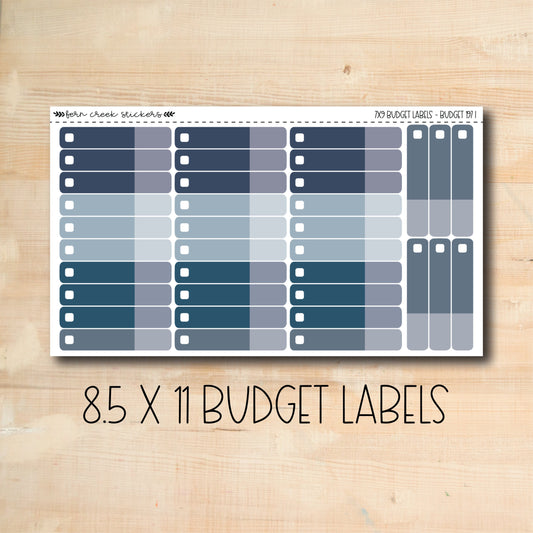 BUDGET-197 || WINTER FARMHOUSE 8.5x11 budget labels