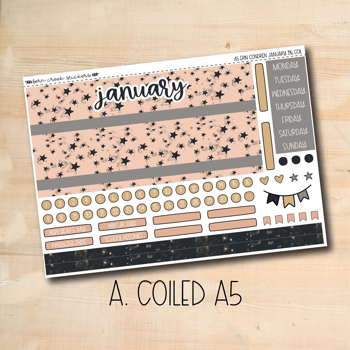 EC A5 196 || MIDNIGHT PARTY January A5 Erin Condren monthly planner kit