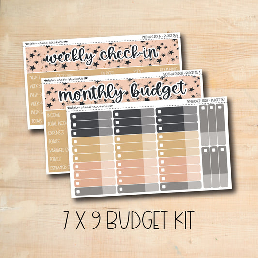 BUDGET-196 || MIDNIGHT PARTY 7x9 budget kit