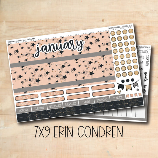 EC 7x9 196 || MIDNIGHT PARTY January 7x9 Erin Condren monthly planner kit
