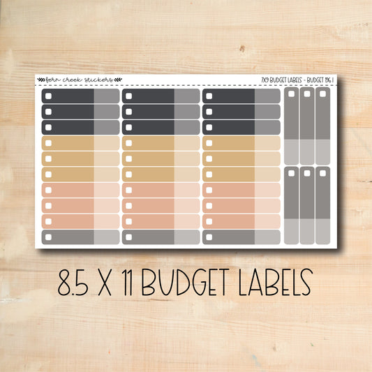 BUDGET-196 || MIDNIGHT PARTY 8.5x11 budget labels