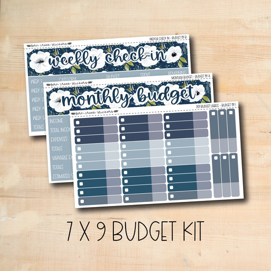 BUDGET-197 || WINTER FARMHOUSE 7x9 budget kit