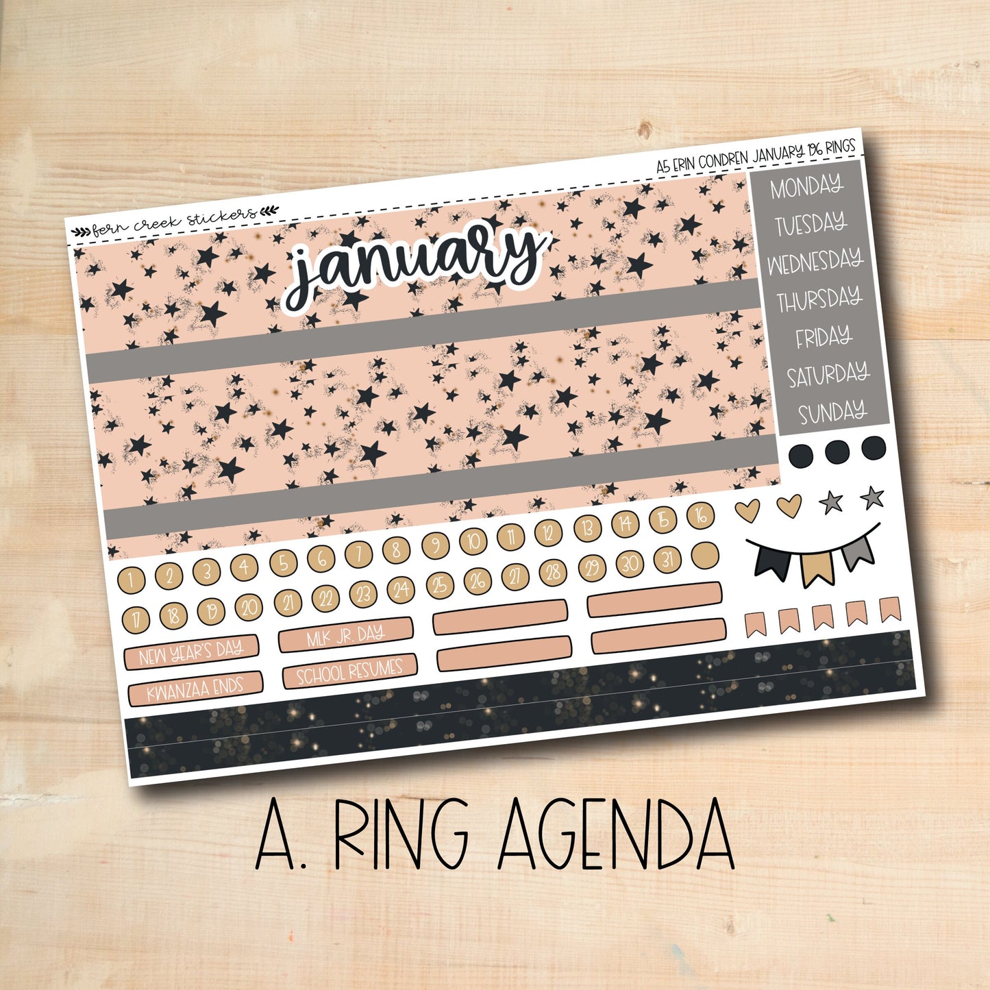 EC A5 196 || MIDNIGHT PARTY January A5 Erin Condren monthly planner kit